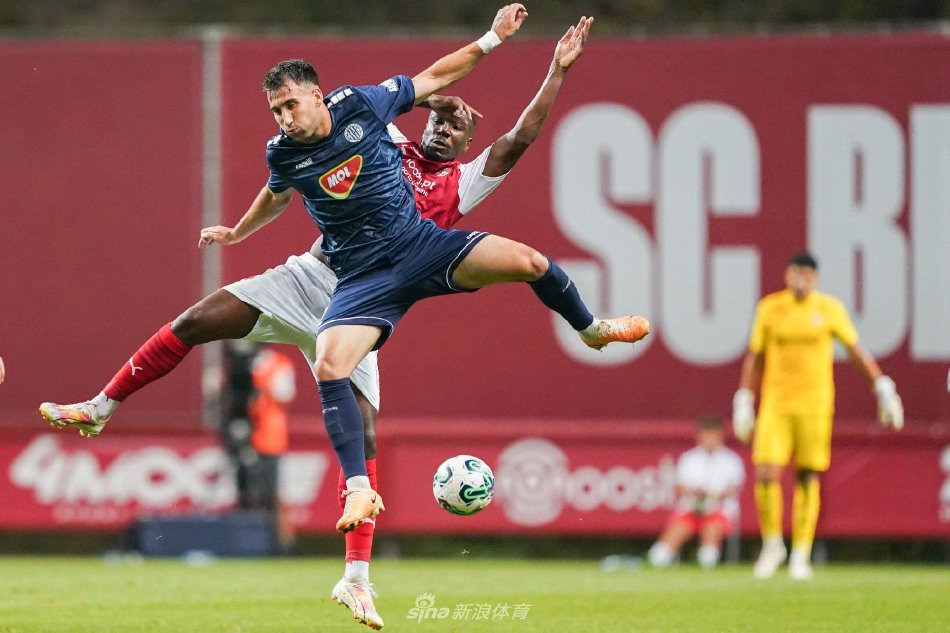 可能会导致 可能会导致