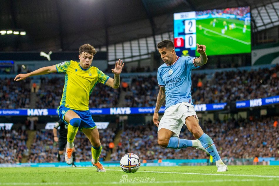 体现了职业 体现了职业