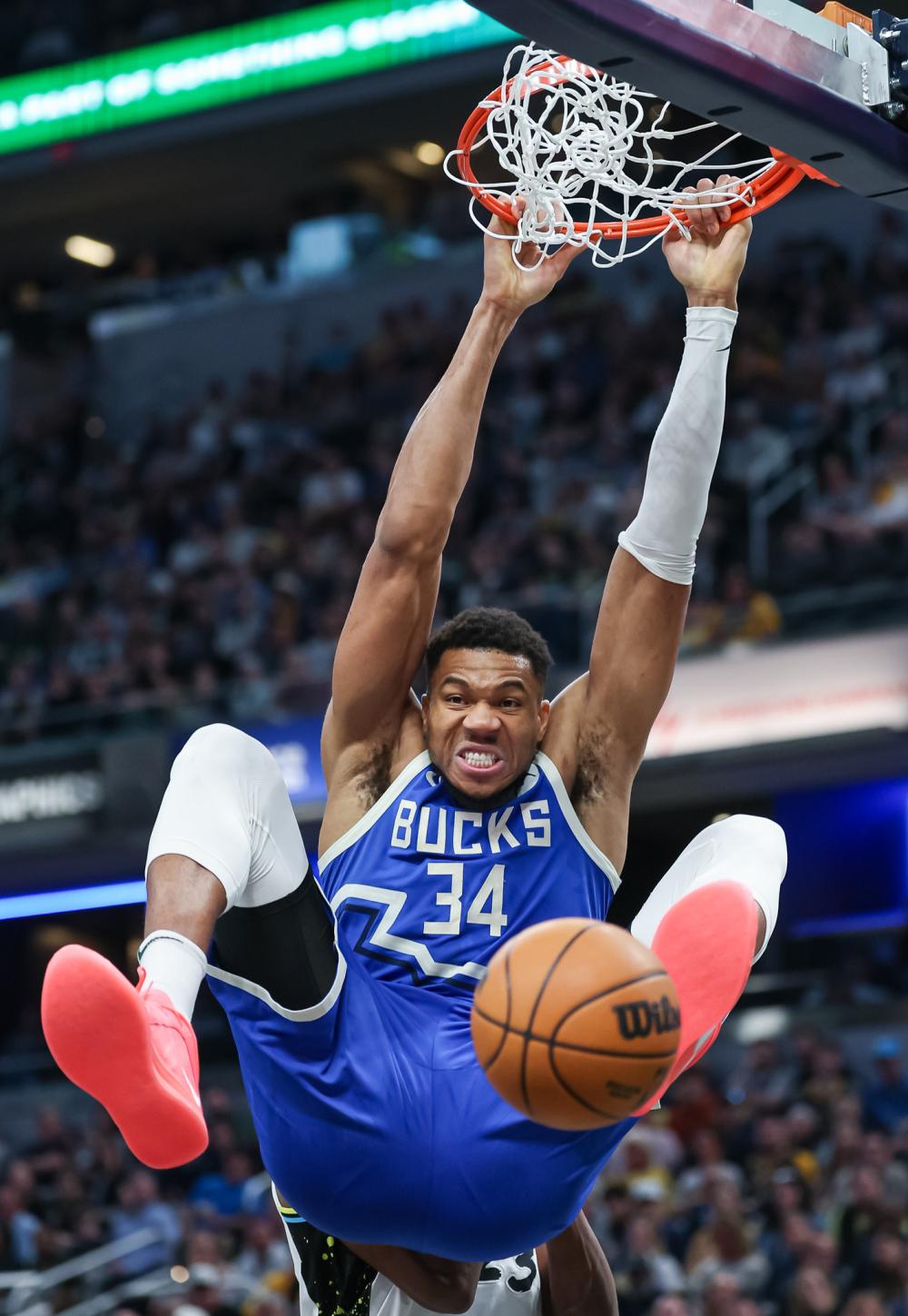 不仅丰富了 不仅丰富了